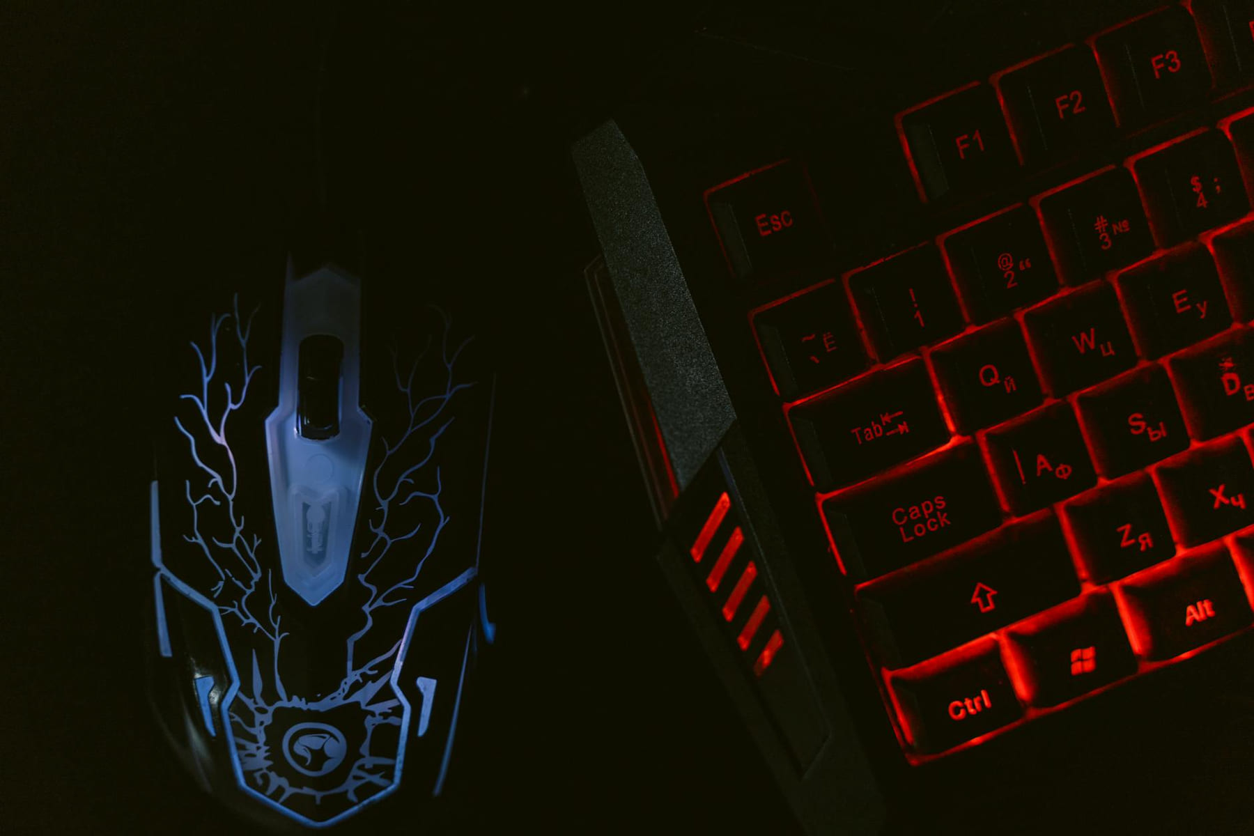 Close-up of a glowing gaming mouse and a backlit keyboard in a dim setting, showcasing a tech-savvy setup. on Frame Rate Vault